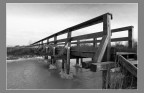 Pontile