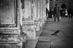 Guardo oltre...