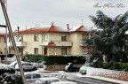 Basta una spolverata di zucchero a velo e .. VOILA'!