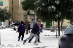 Neve 3