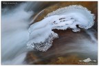 Ice creations