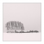 la neve  scesa...