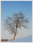 Nikon D3000  VR 18-105
35mm.  ISO 140
1/250sec.  - F/10