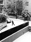 Prima Neve