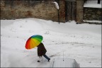 Questi giorni