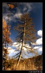 I can touch the sky