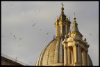 Piazza navona a Roma