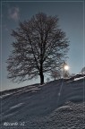 Mattino d'inverno - II