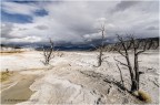 Yellowstone Nat. Park 2011