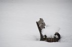 D700 + 70-300 VR @230
f/5.6 1/3200 ISO500