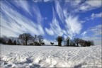 Paesaggi Invernali