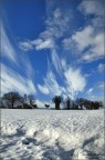 Paesaggio Invernale
