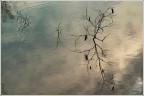 Attraverso il riflesso...