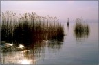 Lago di Garda.
Diapositiva del 1980.
Album: Vecchi ricordi.