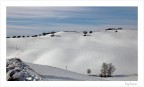 Odio la neve ma le mie colline innevate sono meravigliose.