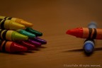 Prova macro con Tamron 90