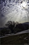 E Luce Sia !