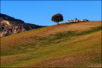 Ferrandina