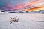Purple - Tramonto sulla piana