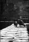 MIIMG8274