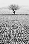 Paesaggio interiore