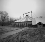 Circo