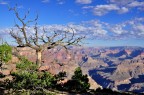 Arizona