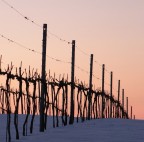 al calar... al calar...