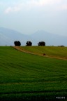 f:10 1/100 Iso 400; foto al tramonto rielaborata ampliando luce e saturazione.