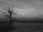 Paesaggio in b&amp;n