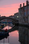 DAL CANAL VENA