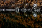 Riflessi