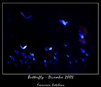 Sit Lux, et fuit lux - #1
