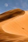 Canon 450D, Canon EF-S 55-250mm f/4-5.6 IS, 1/80 f/16.0, ISO 100, treppiede.

ancora il deserto del Marocco,ho dovuto aspettare pi di un'ora per far si che la luna si mettesse in una posizione ideale per essere inclusa nella compo.in pp ho agito con una maschera per dagli un p di contrsto visto che di giorno  abbastanza slavata....un saluto!