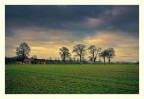 Campagna normanna