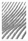 ..linee...