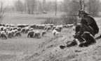 Compagni di Vita