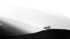 Luce, Bianco, Nero