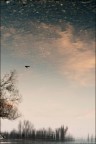 E di riflesso...la sera