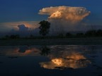 stagno di una notte di mezza estate