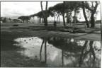 Il riflesso