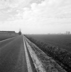 Linee