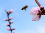 ISO 200
f/11
1/500s
55mm