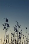 La nuit
