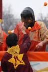 Carnevale di Ivrea
l.f 150mm
ISO 400
f. 5,6
t. 1/500

Commenti e critiche sono ben accetti...per crescere.