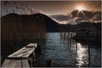 In my lake.