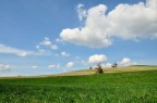 Una immagine un po Minimal :)

commenti ben accetti, grazie!