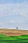 fatta in verticale (che mi piace molto).

commenti e critiche strabenaccette :)