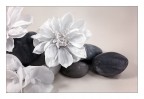 infrared still life