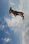 volareeeee